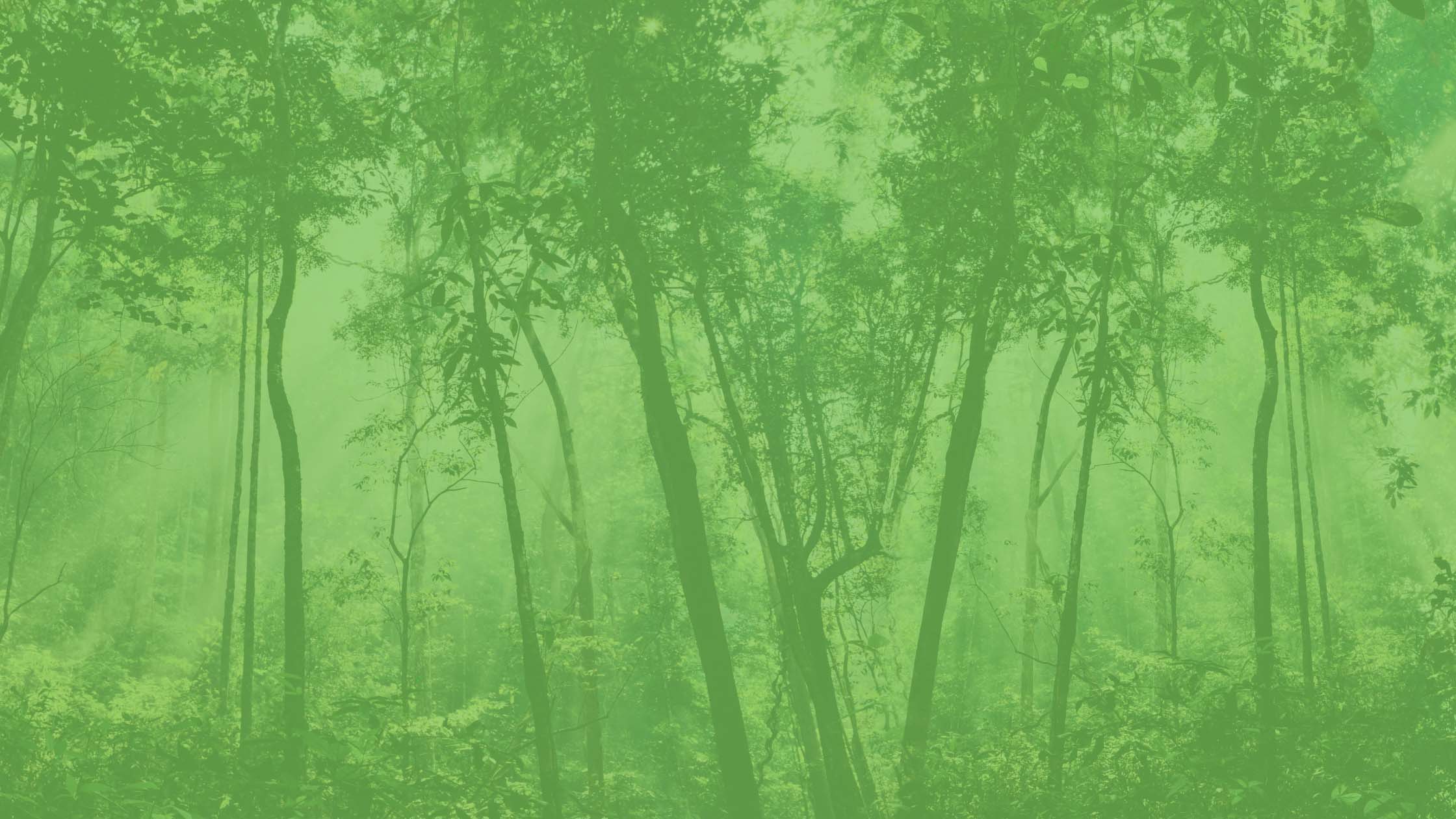 Master Blasterz sustainability practices header photo 